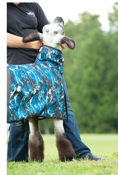 Nylon Sheep Blanket, Mesh Butt - MEDIUM - Wave