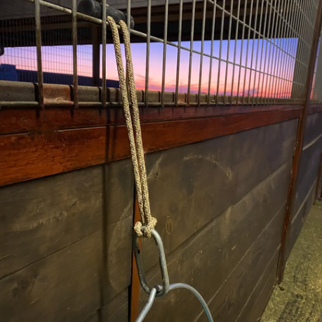 Hay Chix® Bucket Strap