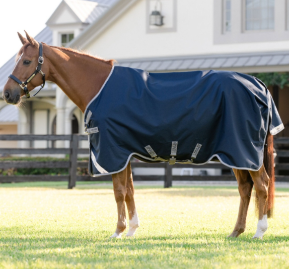 AMIGO® 1200D TURNOUT 0G
