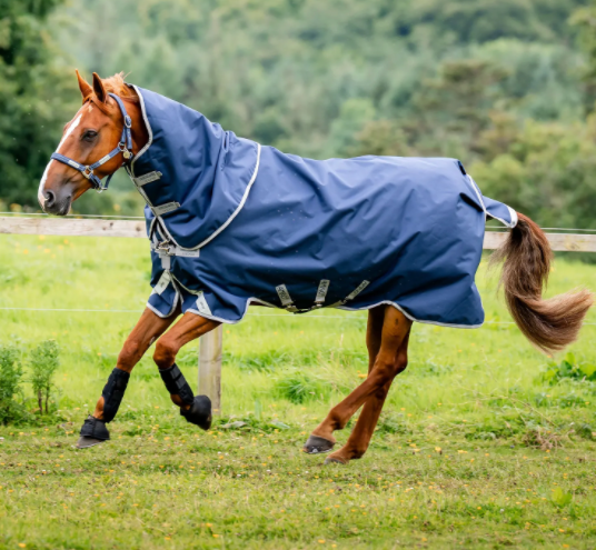 AMIGO® BRAVO 12 PLUS TURNOUT 0G
