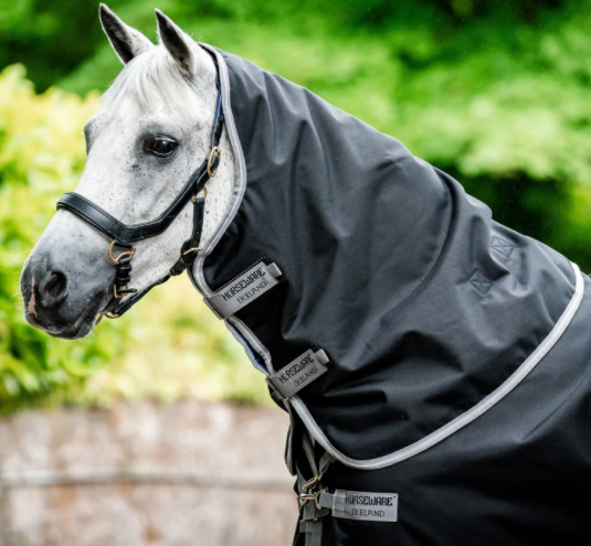 AMIGO® BRAVO 12 PLUS TURNOUT 400G
