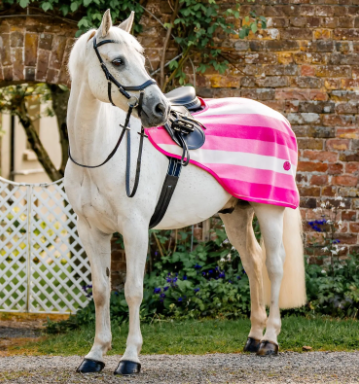 HORSEWARE® NEWMARKET EXERCISE SHEET
