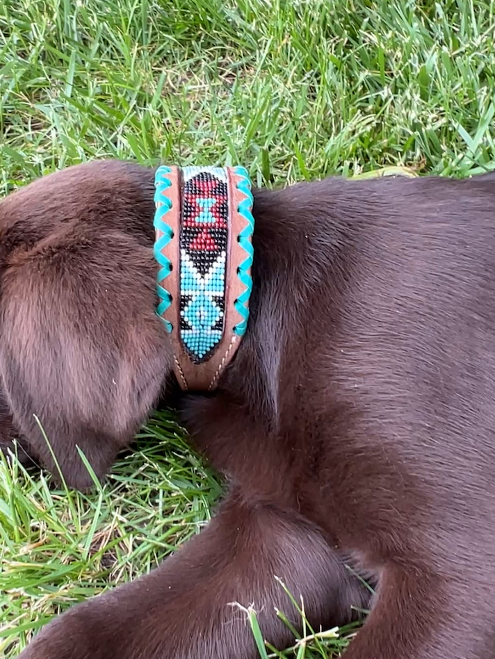 Genuine leather dog collar with teal, white, and burgundy  beaded inlay design, a rawhide wrapped edge