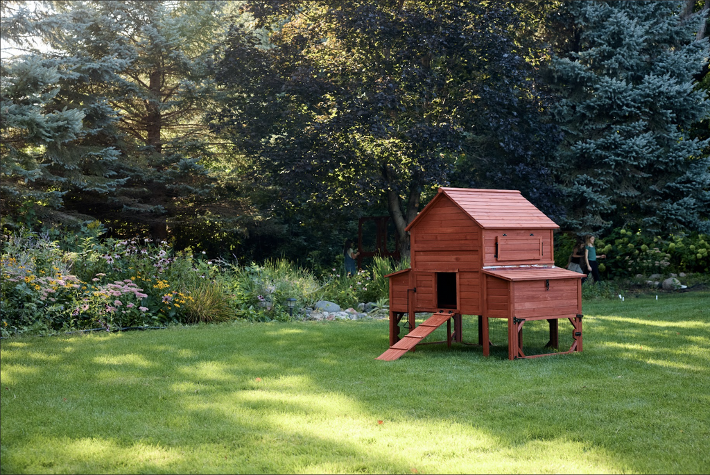 Chicken Coop for 10 Chickens - Rhode Island Homestead (Hen House Only)