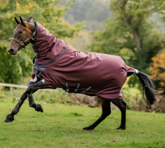 AMIGO® BRAVO 12 PLUS TURNOUT 0G