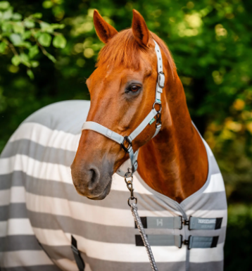 HORSEWARE® NEWMARKET FLEECE COOLER