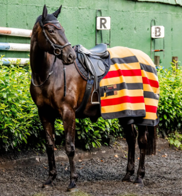 HORSEWARE® NEWMARKET FLEECE COOLER