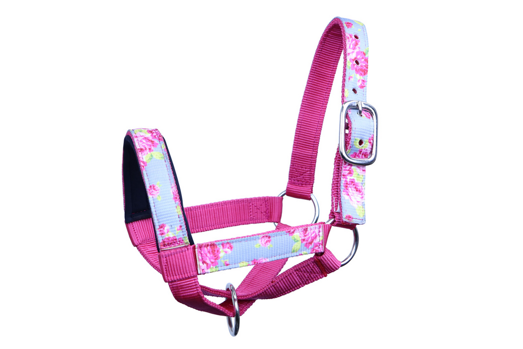 Tahoe Tack Nylon Overlay Sheep and Goat Halter with Padded Noseband - 6 Month Warranty