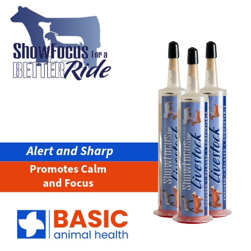 ShowFocus Xtra Strength Gel Supplement for Livestock - 3 Pack