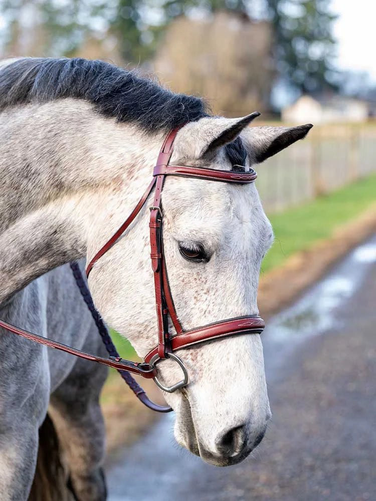 St. Andrews Square Raised Hunter Bridle