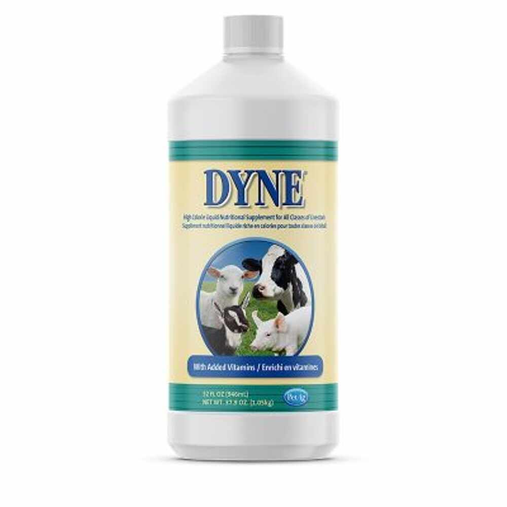 DYNE HIGH CALORIE F/ LIVESTOCK 32OZ