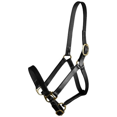 Gatsby Adj Turnout Leather Halter No Snap