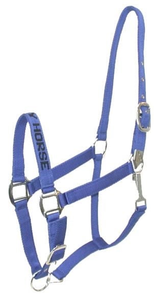 Gatsby I LOVE MY HORSE Nylon Halter