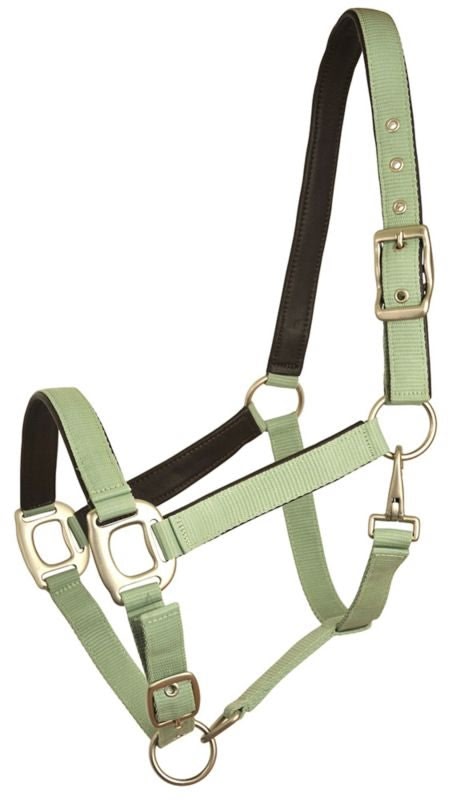 Gatsby Leather Pad Nylon Halter