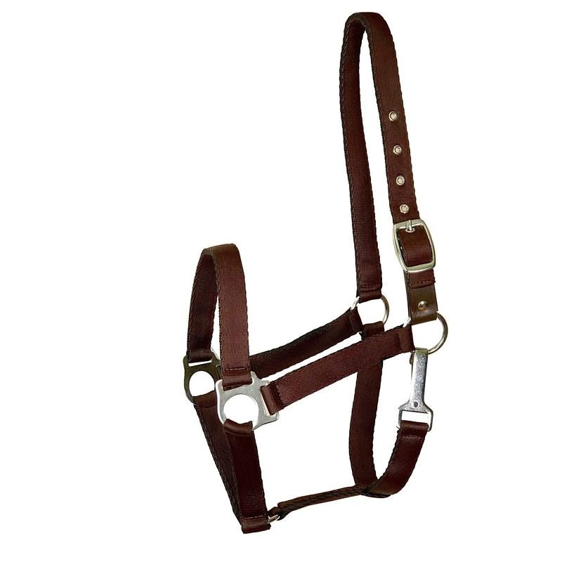 Gatsby Nylon Safety Breakaway Halter