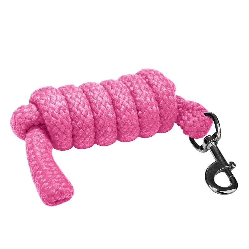Gatsby Acrylic 6ft Lead Rope
