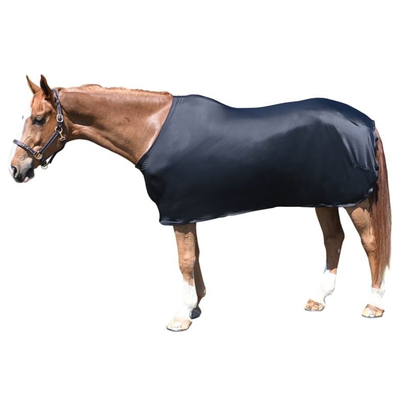 StretchX Full Sheet