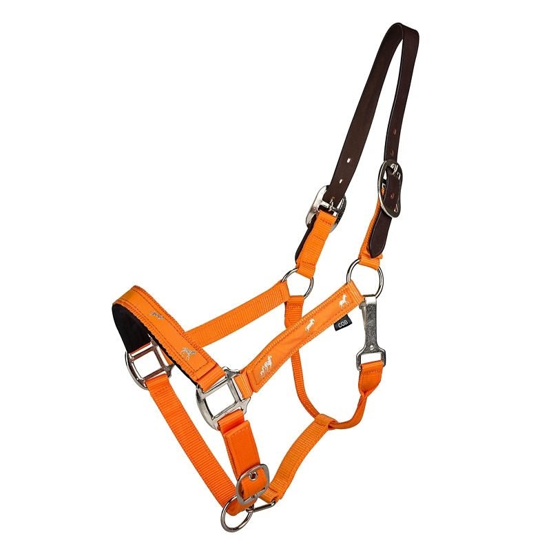 Gatsby Nylon Breakaway Halter Overlay