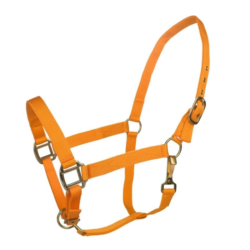 Tabelo Nylon Halter with Adj Chin