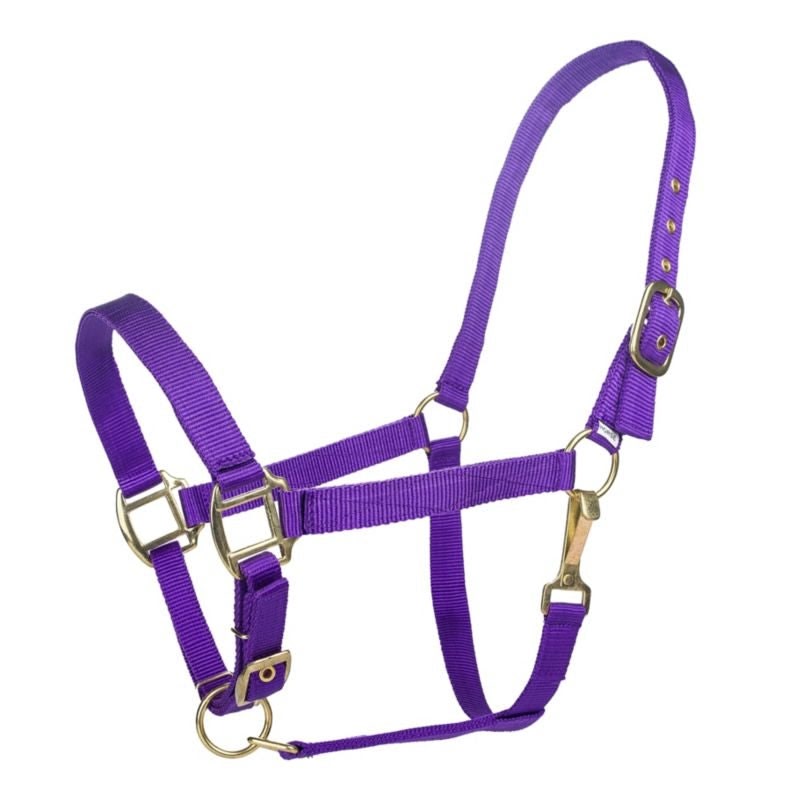 Tabelo Nylon Halter with Adj Chin