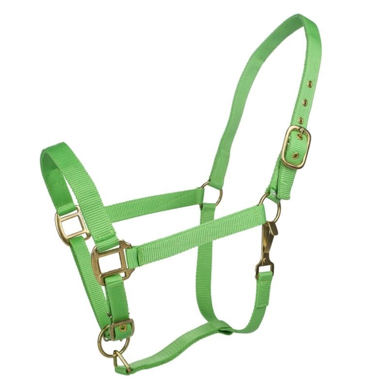 Tabelo Nylon Halter with Adj Chin