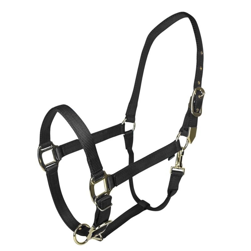 Gatsby Gold Adjustable Nylon Halter