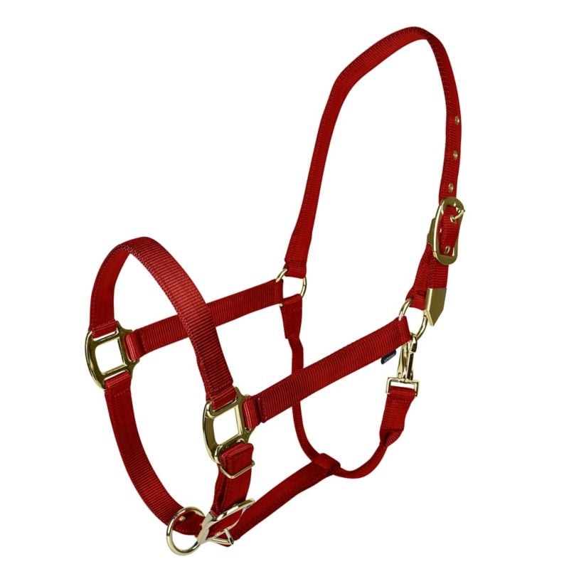 Gatsby Gold Adjustable Nylon Halter