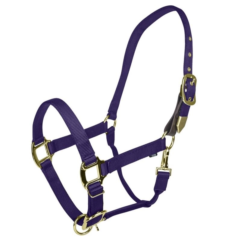 Gatsby Gold Safety Breakaway Halter