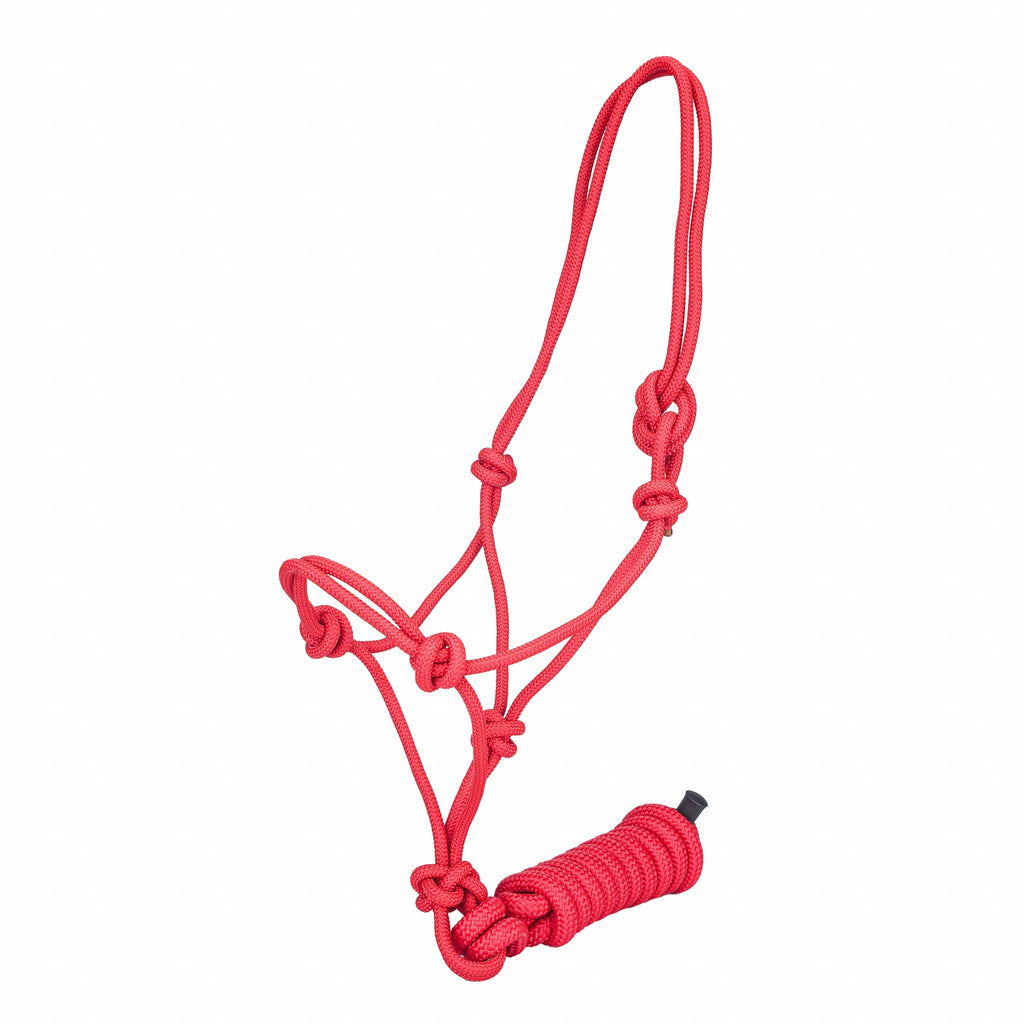 Tabelo Draft Rope Halter with Lead