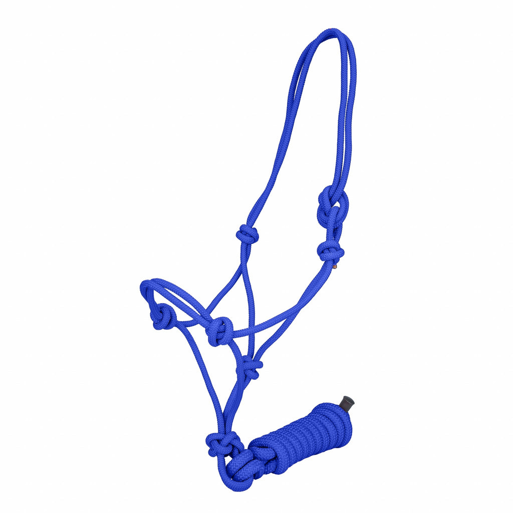 Tabelo Draft Rope Halter with Lead