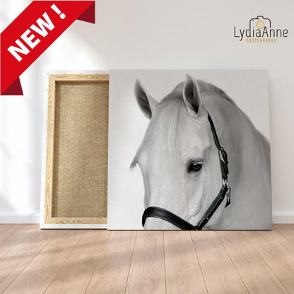 White Horse on Canvas - Blazzing Bridles