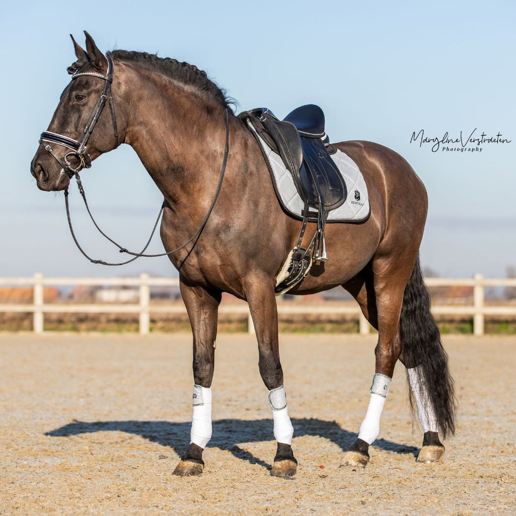 Royal Silver Polo Wraps