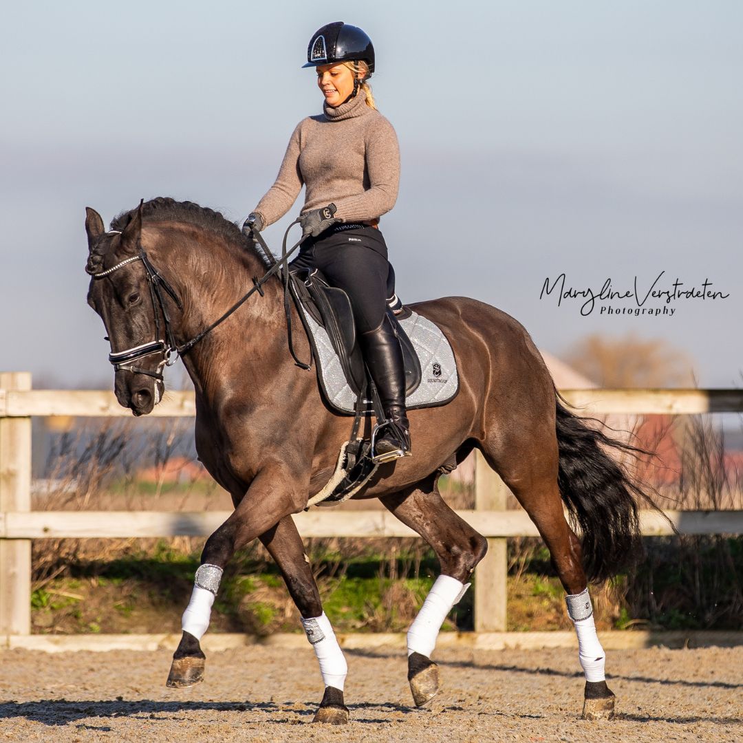 Royal Silver Polo Wraps