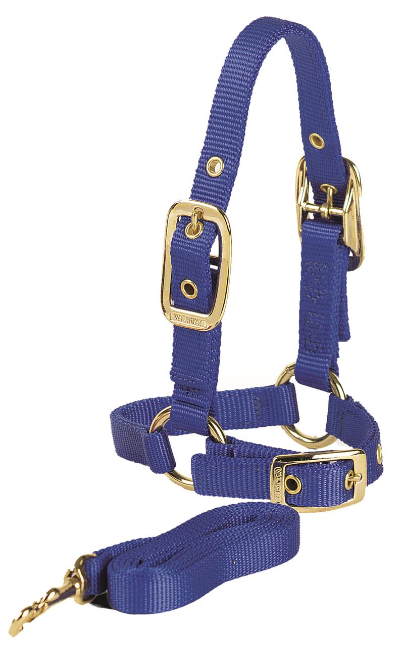 SHEEP HALTER W/LEAD HUNTER GREEN