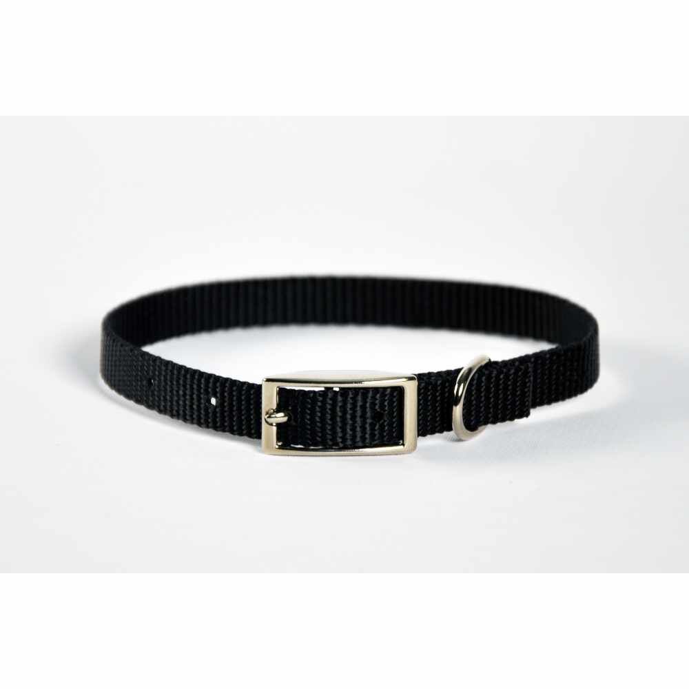 Dog Collar Skinny - 14" Hot Pink