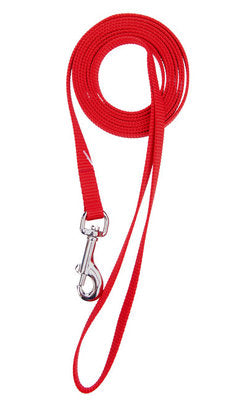 3/4" SINGLE LAYER NYLON LEASH RED  4'