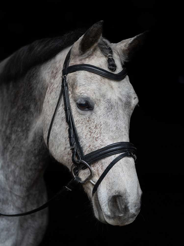 Viper Snakeskin-Embossed Monocrown Bridle