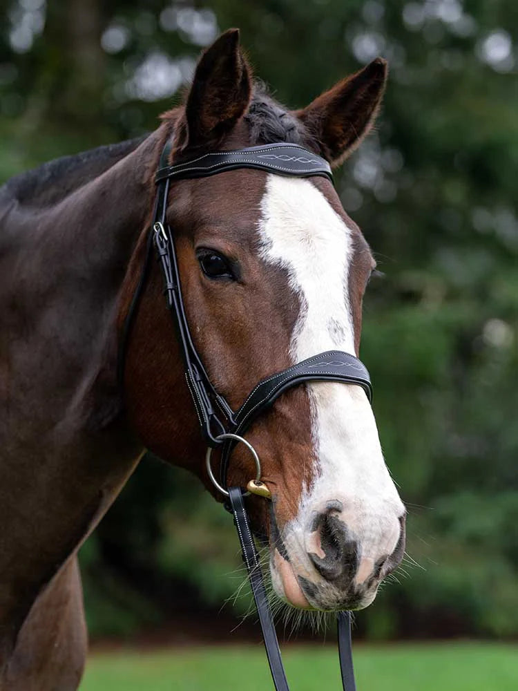 Vogue Scalloped Bridle