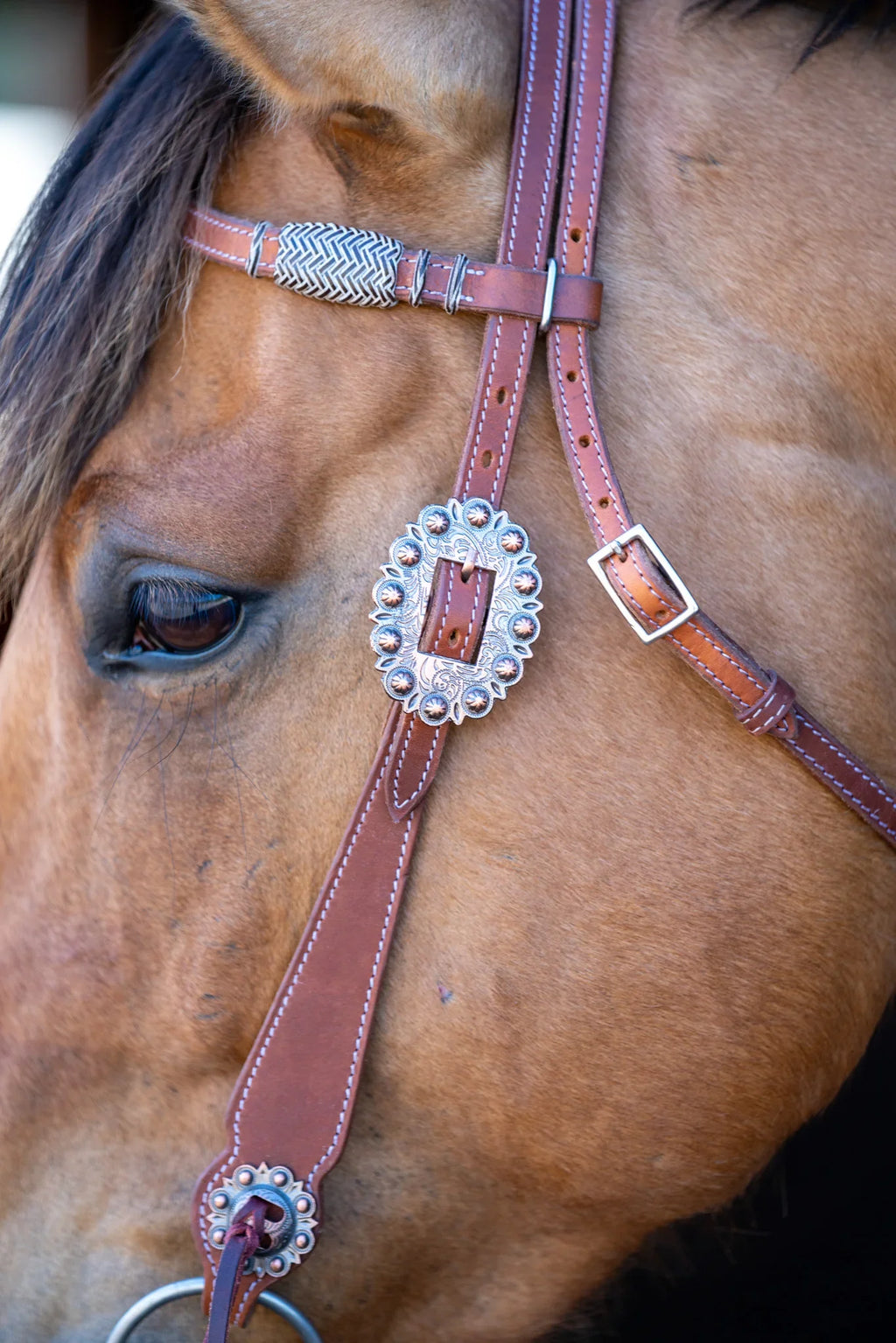 Phoenix Western Browband Headstall
