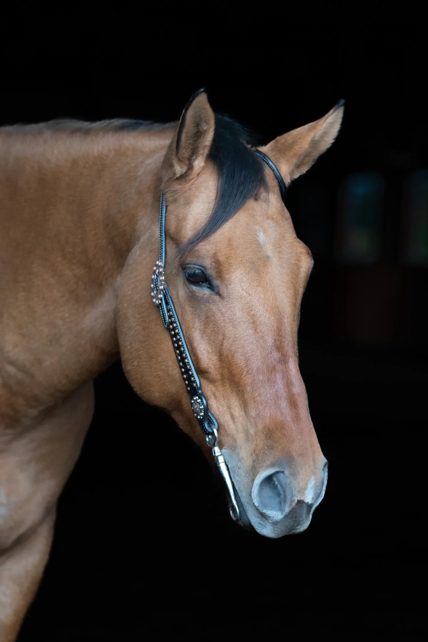 Ruston One Ear Western Headstall