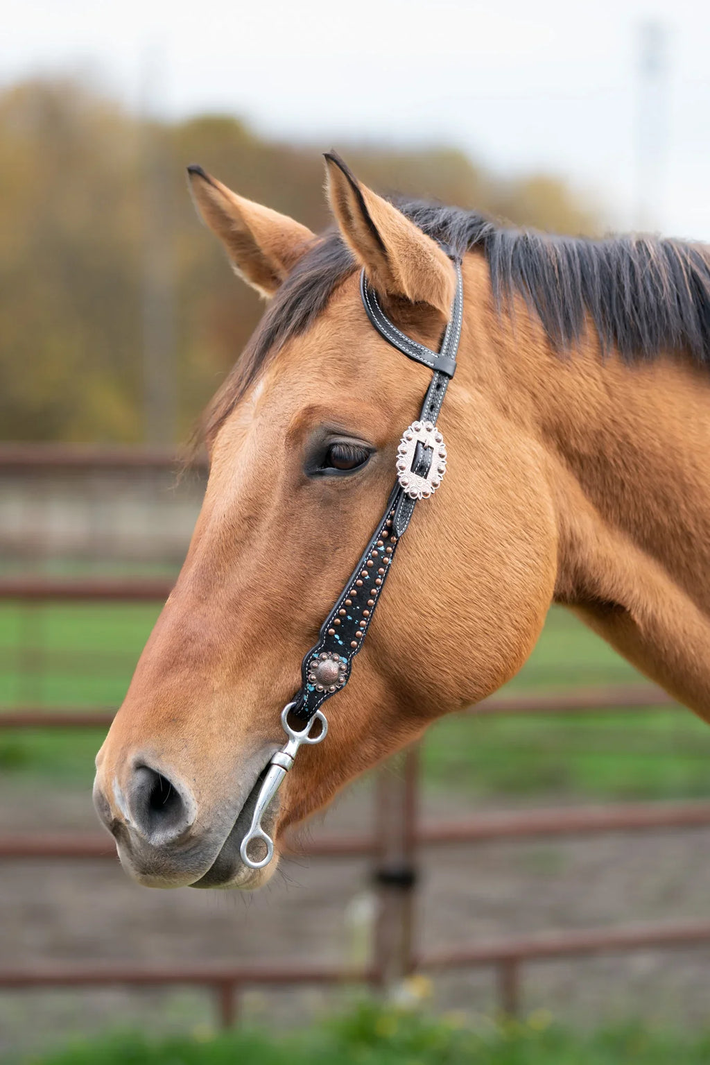 Ruston One Ear Western Headstall