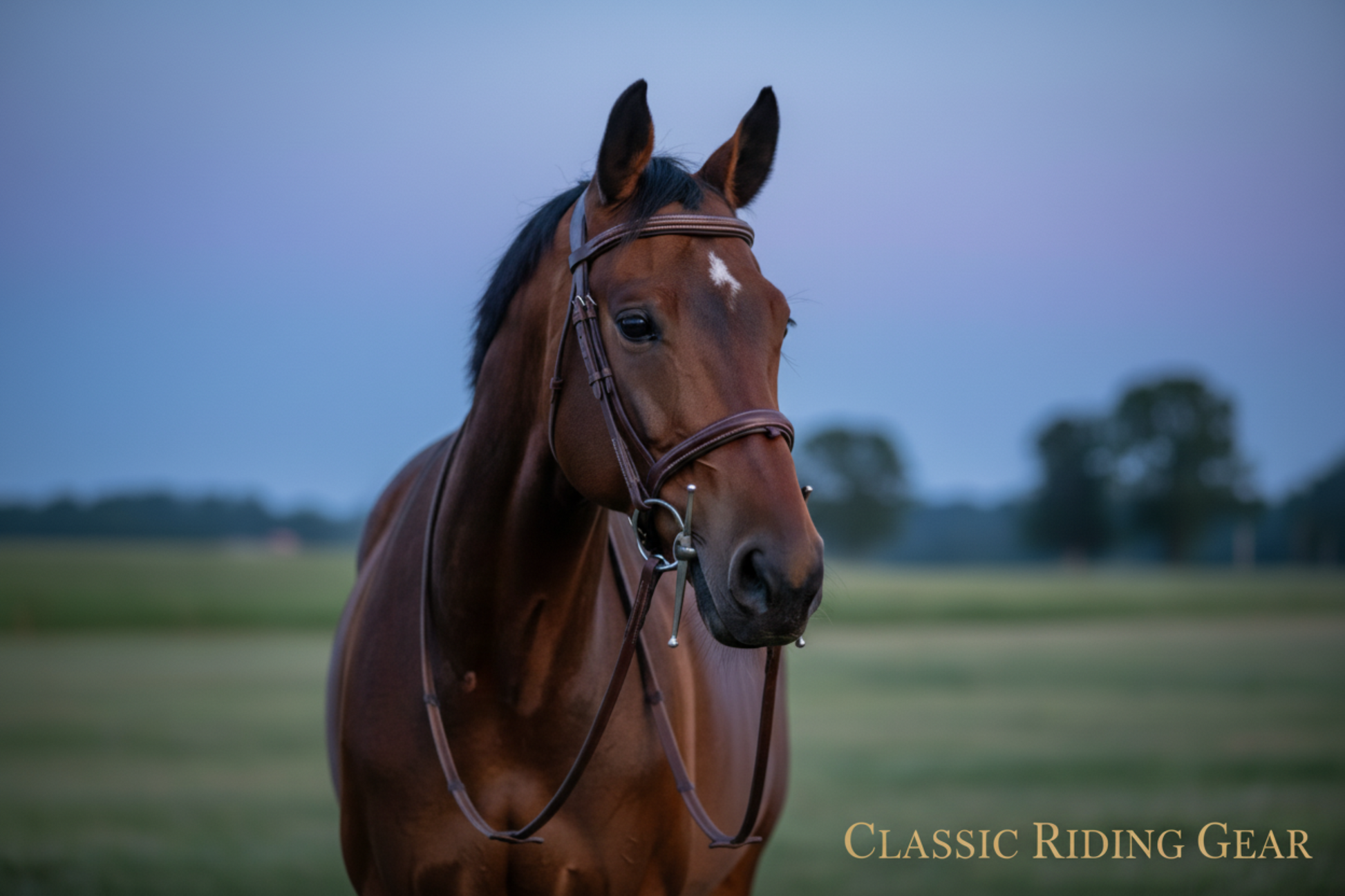 Premium Quality Horse  Bit Stainless Steel