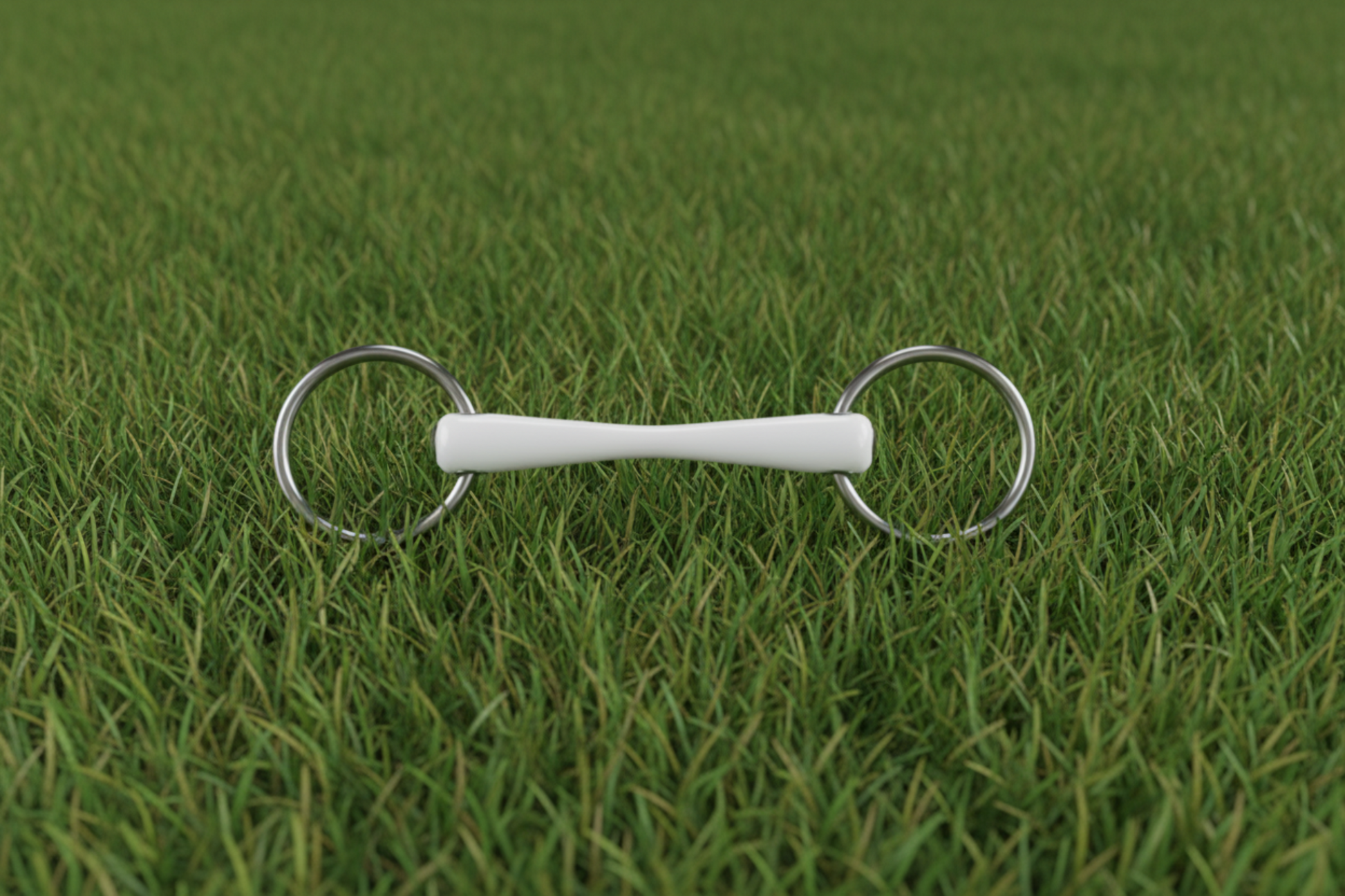 Premium Quality Ring Shape Horse  Bit Stainless Steel