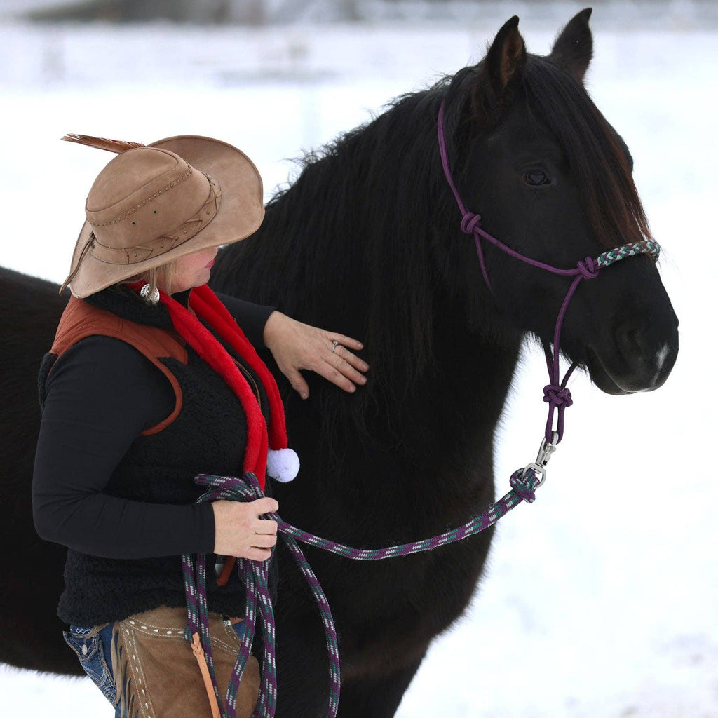 15' Tricolored Clinician Training Lead