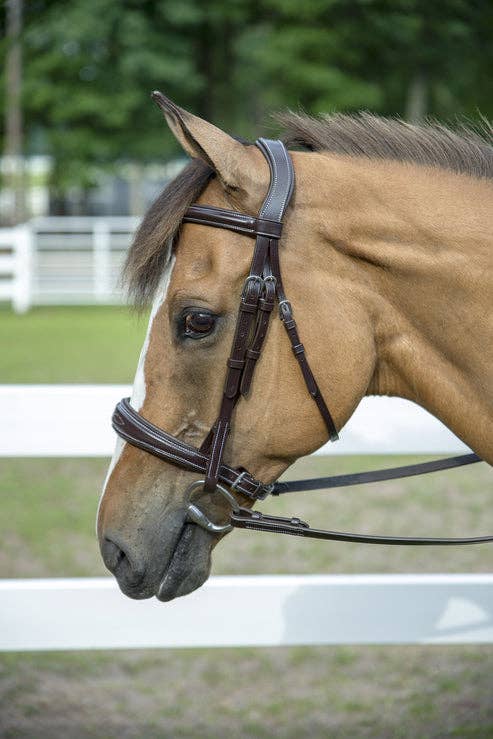 Henri de Rivel Pro Mono Crown Bridle with Padded Wide Noseband – Fancy Stitched Hunter Bridle with Laced Reins