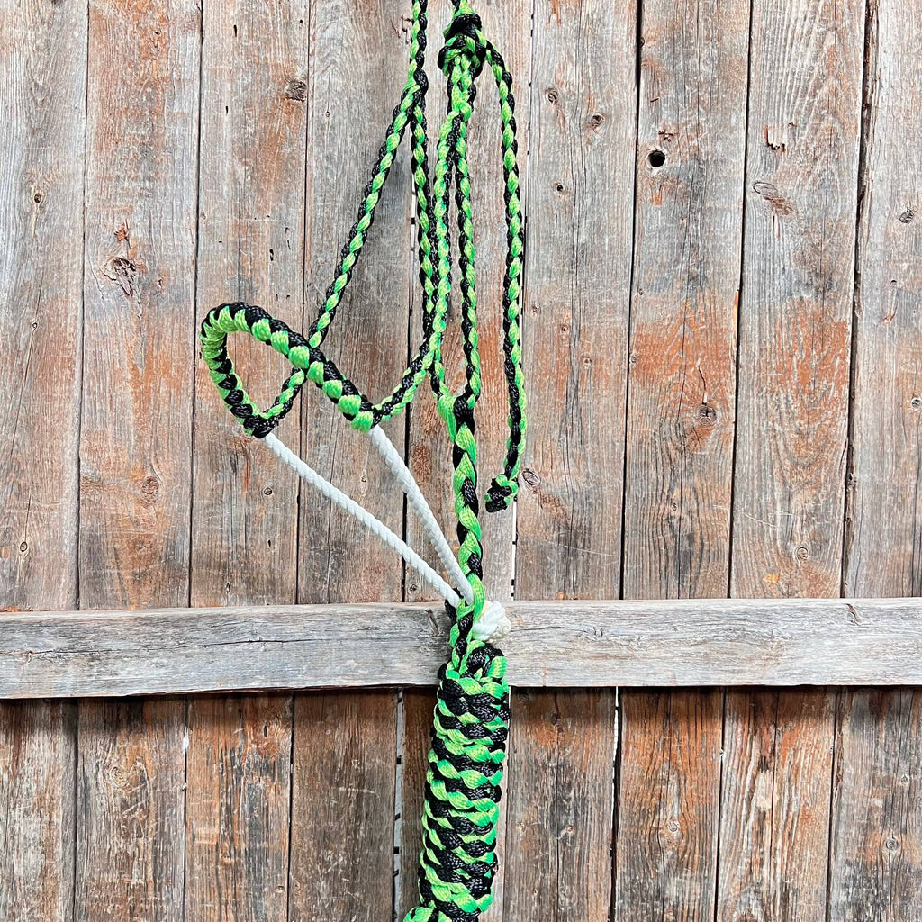 Green and Black Mule Tape with Lariat Noseband Halter