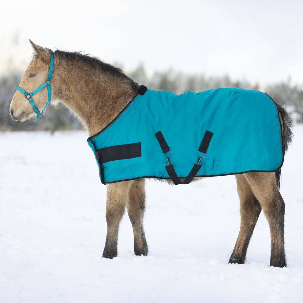 1200Denier Adjustable Weanling "180G" Medium Weight Waterproof & Breathable Winter Turnout