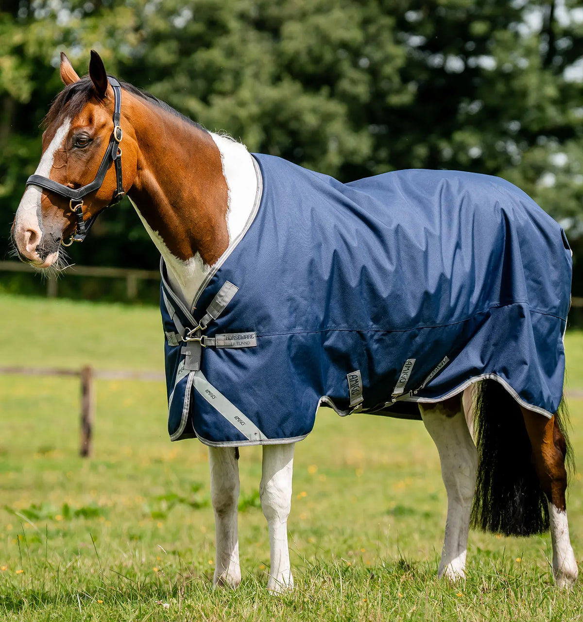 AMIGO® 1200D TURNOUT 100G
