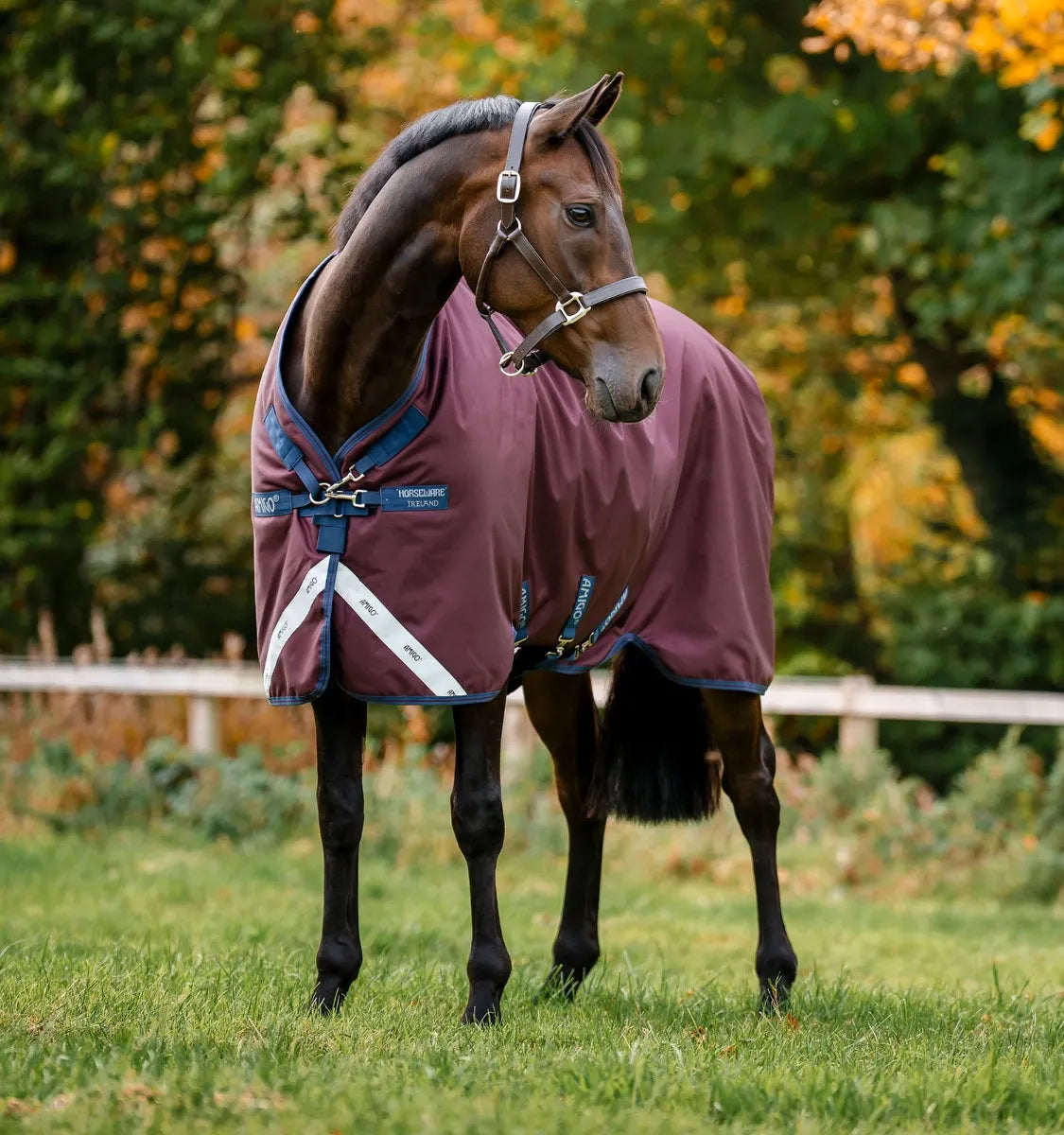 AMIGO® 1200D TURNOUT 100G