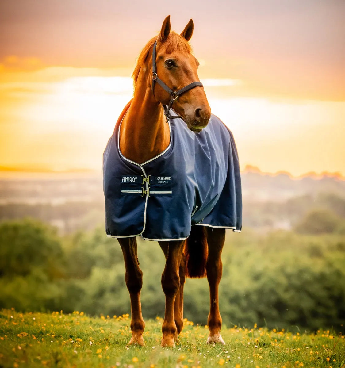 AMIGO® RIPSTOP 900D TURNOUT 0G